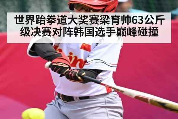 世界跆拳道大奖赛梁育帅63公斤级决赛对阵韩国选手巅峰碰撞